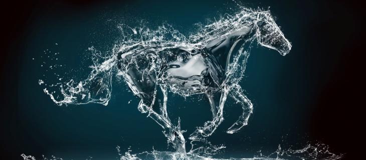Nokk, storia della creatura marina mitologica protagonista al cinema - In a Bottle