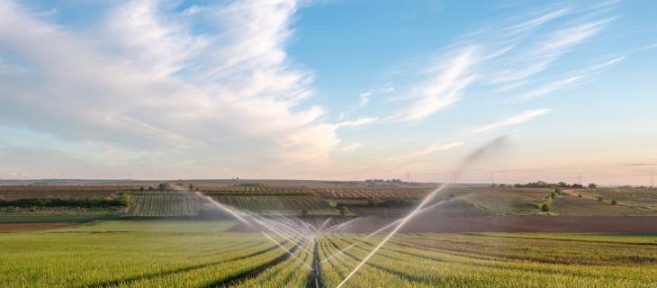 Irrigazione Scientifica Ottimizzata e Consapevole – In a Bottle Irrigazione Scientifica Ottimizzata e Consapevole – In a Bottle