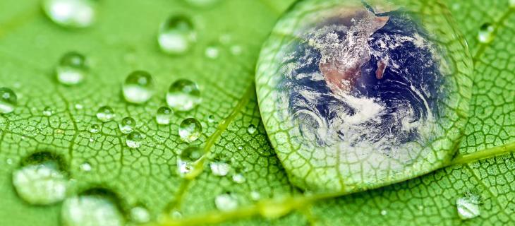 Produzione di Acqua Efficiente e Sostenibile Grazie a Nestlé e Aquassys – In a Bottle Produzione di Acqua Efficiente e Sostenibile Grazie a Nestlé e Aquassys – In a Bottle