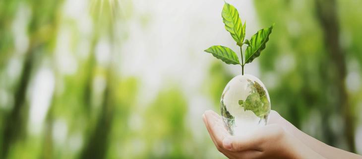 Detersivi ecologici, ma anche cosmetici naturali: la svolta “green” di Teanatura - In a Bottle Detersivi ecologici, ma anche cosmetici naturali: la svolta “green” di Teanatura - In a Bottle
