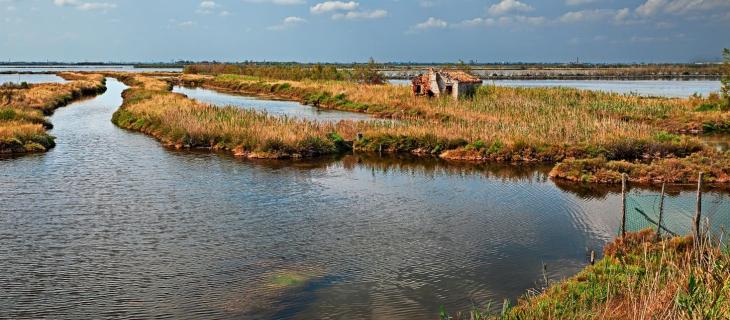 Il trattato di Ramsar e la tutela della biodiversità