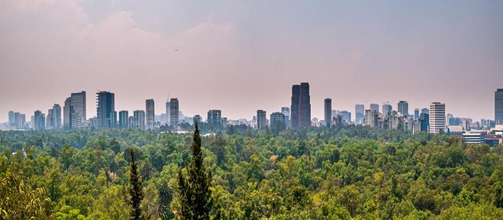 Un mix tra sostenibilità ambientale e smart city: ecco la Città Foresta di Cancún - In a Bottle Un mix tra sostenibilità ambientale e smart city: ecco la Città Foresta di Cancún - In a Bottle