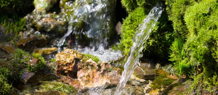 Scienziati pubblici misurano i livelli delle acque della sorgente Nestlé Waters di Osceola Township, nel Michigan - In a Bottle Scienziati pubblici misurano i livelli delle acque della sorgente Nestlé Waters di Osceola Township, nel Michigan - In a Bottle