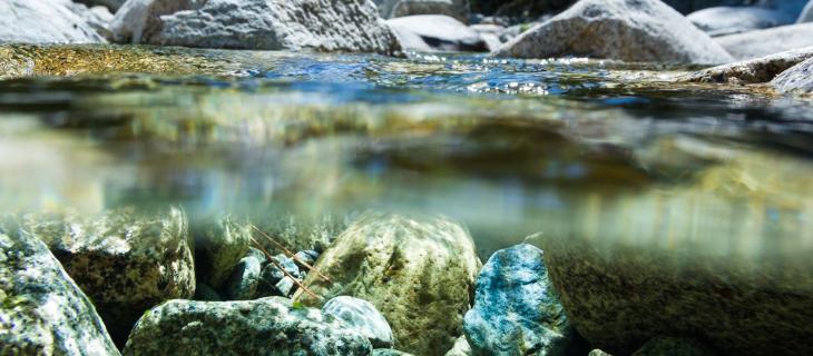 Un Nuovo Guardiano dell’Acqua: Nestlè Waters– In a Bottle