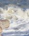 Leopardi e il mare, un amore in versi – In a Bottle