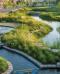Città che rispettano l’acqua come ripensare la pianificazione urbana per la Giornata Mondiale dell’Habitat