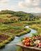 Dal territorio alla tavola il legame tra ambiente e qualità alimentare