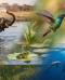 Gli animali e l'acqua chi ne ha davvero più bisogno