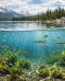 Le meraviglie nascoste sotto la superficie gli ecosistemi invisibili dell’acqua