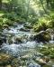 Perché conservare la natura significa proteggere l’acqua