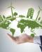 Come si diventa sustainability manager 