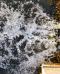 Acque reflue in agricoltura: una soluzione sostenibile per la siccità?