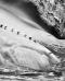 “Ghiacciai”, la mostra fotografica di Sebastião Salgado 
