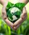 Armonia con la natura: la biodiversità come fonte di vita e benessere