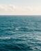 La Giornata Mondiale degli Oceani 2025 per tutelare gli ambienti marini