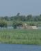Acquaponica: una soluzione sostenibile che unisce agricoltura e risparmio d’acqua