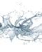 L’acqua la insegna la sete: la poesia di Emily Dickinson  - In a Bottle