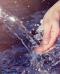 Tre documentari da vedere per saperne di più sull’acqua - In a Bottle